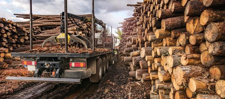 transport drewna budowlanego